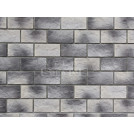 Известняк широкий