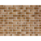 Известняк узкий